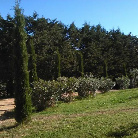 In Maremma Veranda Giardino Piscina Gavorrano